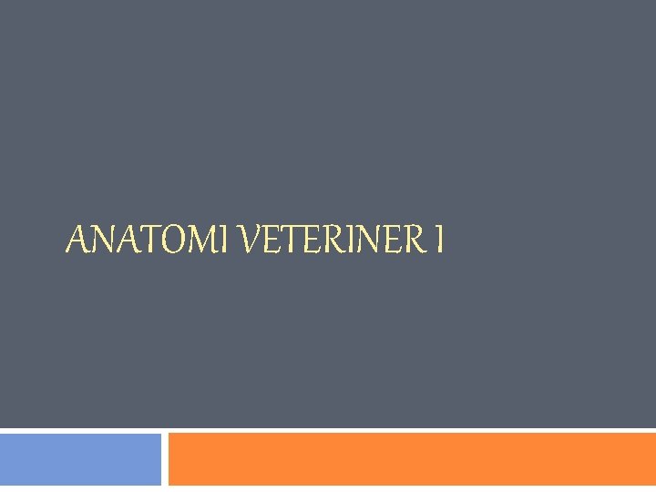 ANATOMI VETERINER I 