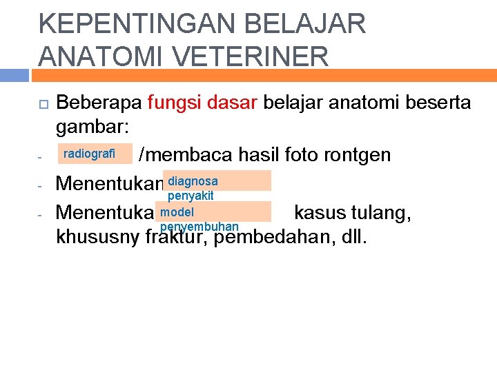 KEPENTINGAN BELAJAR ANATOMI VETERINER - Beberapa fungsi dasar belajar anatomi beserta gambar: radiografi /membaca