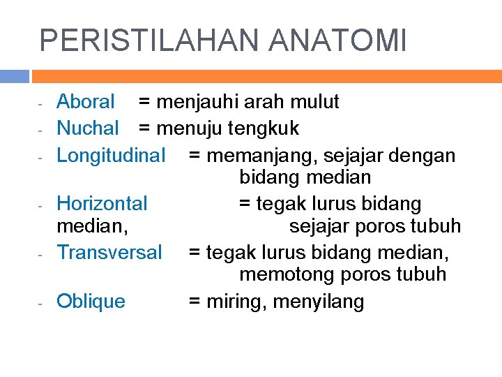 PERISTILAHAN ANATOMI - - Aboral = menjauhi arah mulut Nuchal = menuju tengkuk Longitudinal