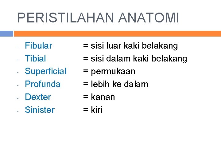 PERISTILAHAN ANATOMI - Fibular Tibial Superficial Profunda Dexter Sinister = sisi luar kaki belakang