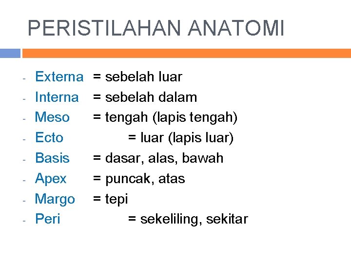 PERISTILAHAN ANATOMI - Externa Interna Meso Ecto Basis Apex Margo Peri = sebelah luar