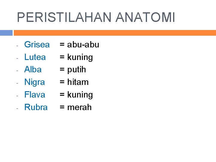 PERISTILAHAN ANATOMI - Grisea Lutea Alba Nigra Flava Rubra = abu-abu = kuning =