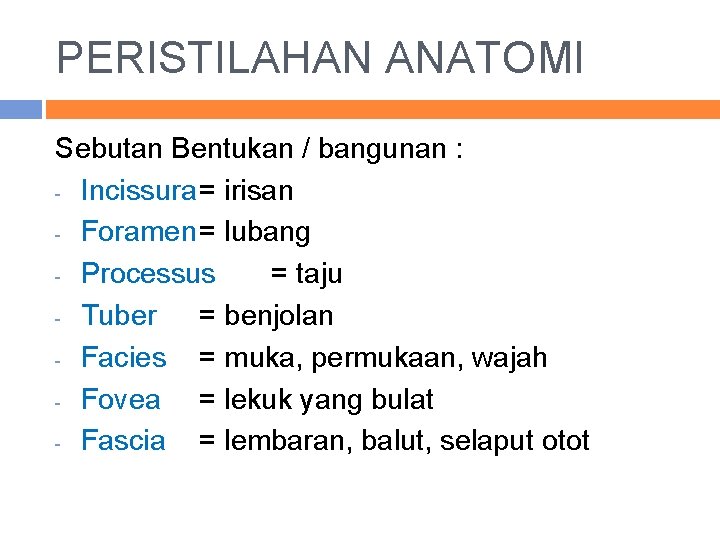 PERISTILAHAN ANATOMI Sebutan Bentukan / bangunan : - Incissura= irisan - Foramen= lubang -