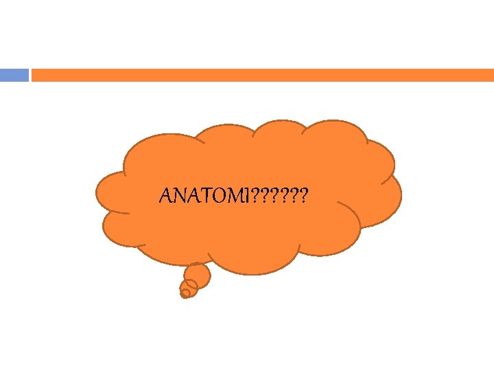 ANATOMI? ? ? 