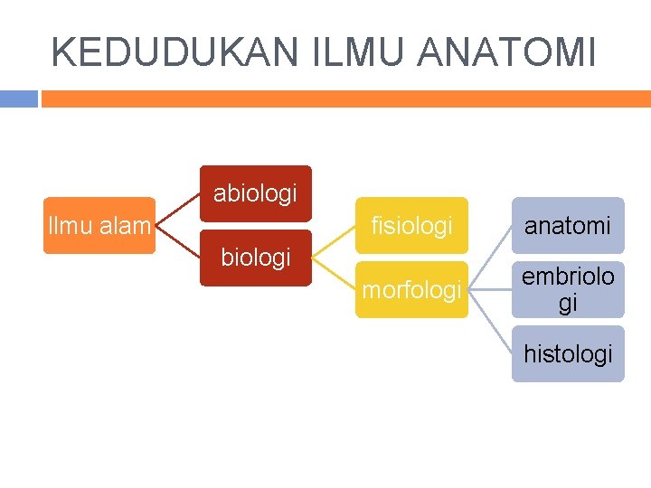 KEDUDUKAN ILMU ANATOMI abiologi Ilmu alam fisiologi anatomi morfologi embriolo gi biologi histologi 