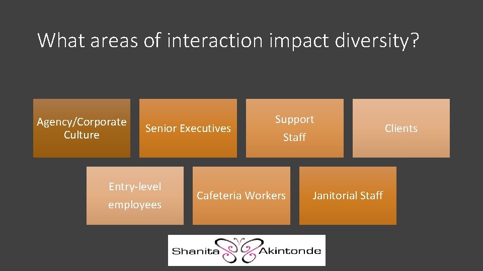 What areas of interaction impact diversity? Agency/Corporate Culture Senior Executives Entry-level employees Support Staff