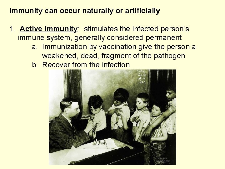 Immunity can occur naturally or artificially 1. Active Immunity: stimulates the infected person’s immune