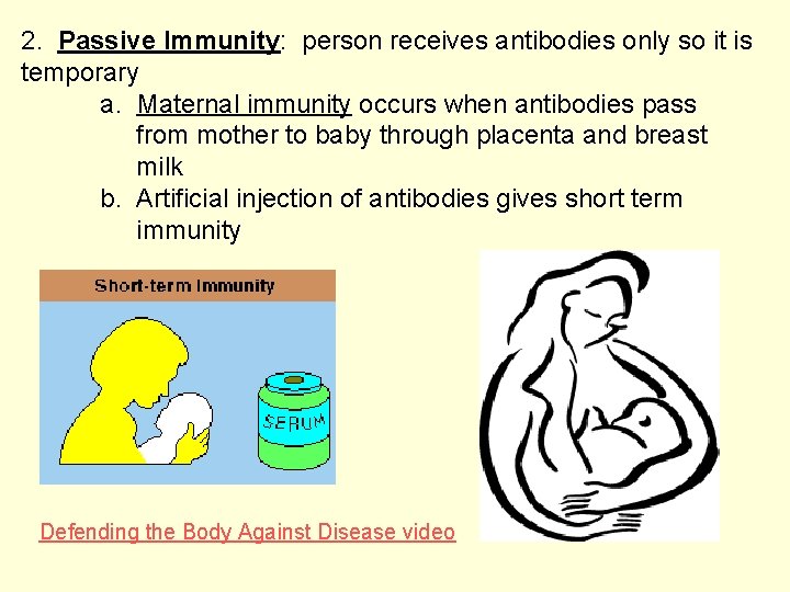 2. Passive Immunity: person receives antibodies only so it is temporary a. Maternal immunity