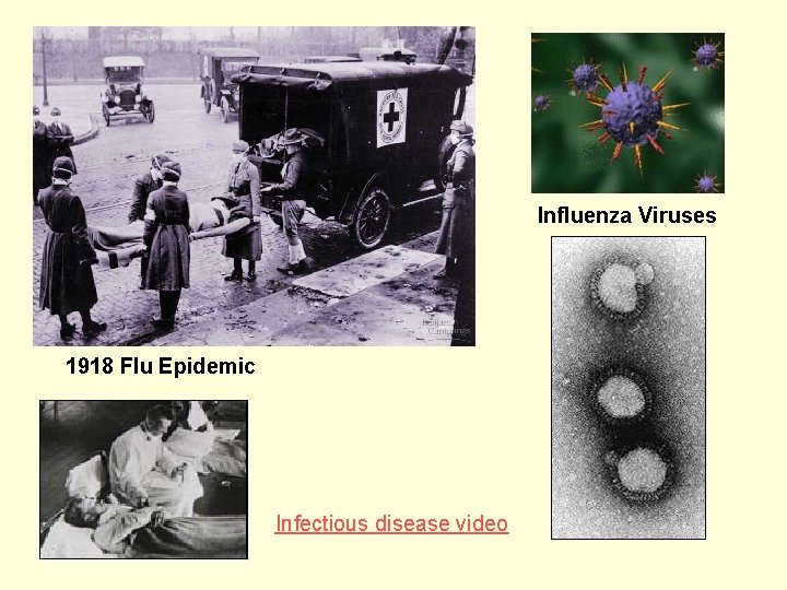 Influenza Viruses 1918 Flu Epidemic Infectious disease video 