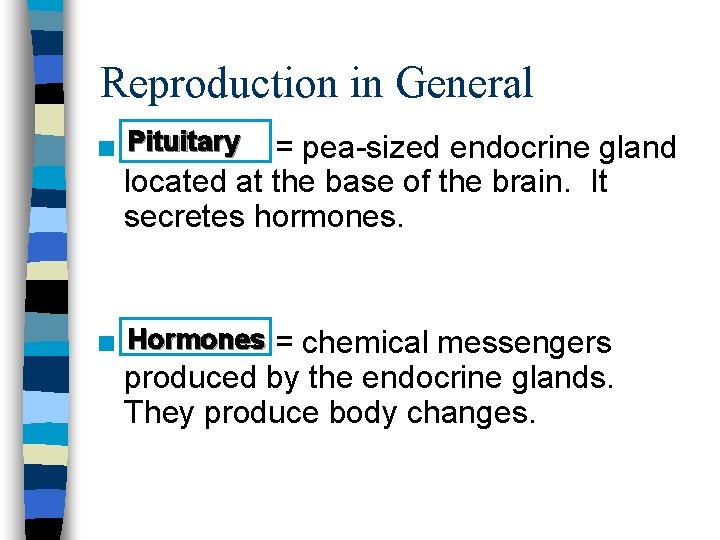 Reproduction in General n Pituitary = pea-sized endocrine gland located at the base of