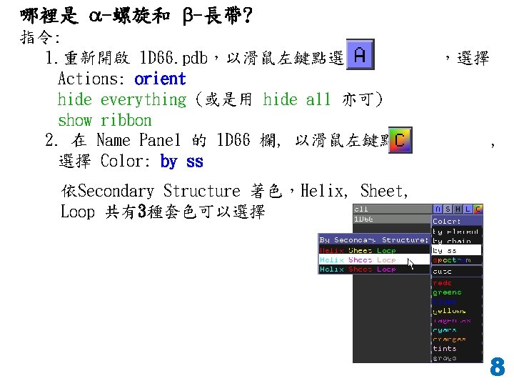哪裡是 a-螺旋和 b-長帶? 指令: 1. 重新開啟 1 D 66. pdb，以滑鼠左鍵點選 Actions: orient hide everything