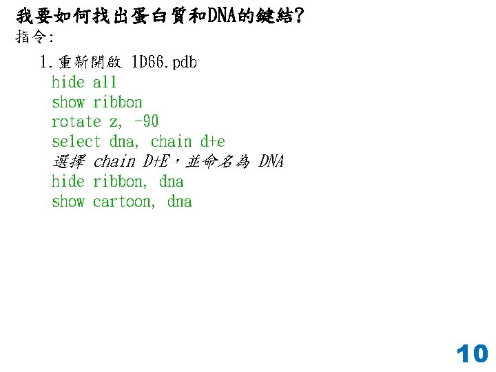 我要如何找出蛋白質和DNA的鍵結? 指令: 1. 重新開啟 1 D 66. pdb hide all show ribbon rotate z,