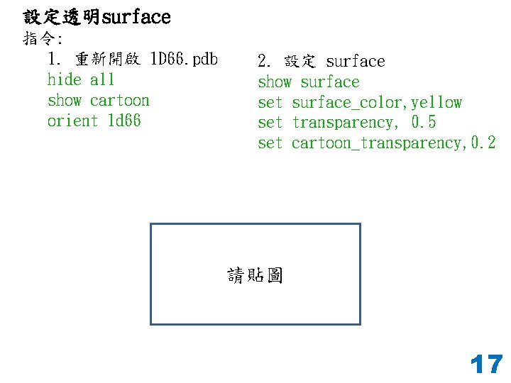 設定透明surface 指令: 1. 重新開啟 1 D 66. pdb hide all show cartoon orient 1