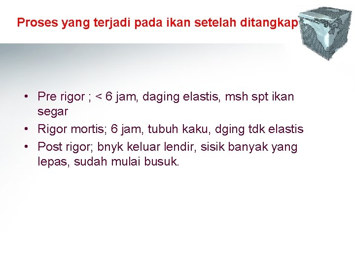 Proses yang terjadi pada ikan setelah ditangkap • Pre rigor ; < 6 jam, Proses yang terjadi pada ikan setelah ditangkap • Pre rigor ; < 6 jam,