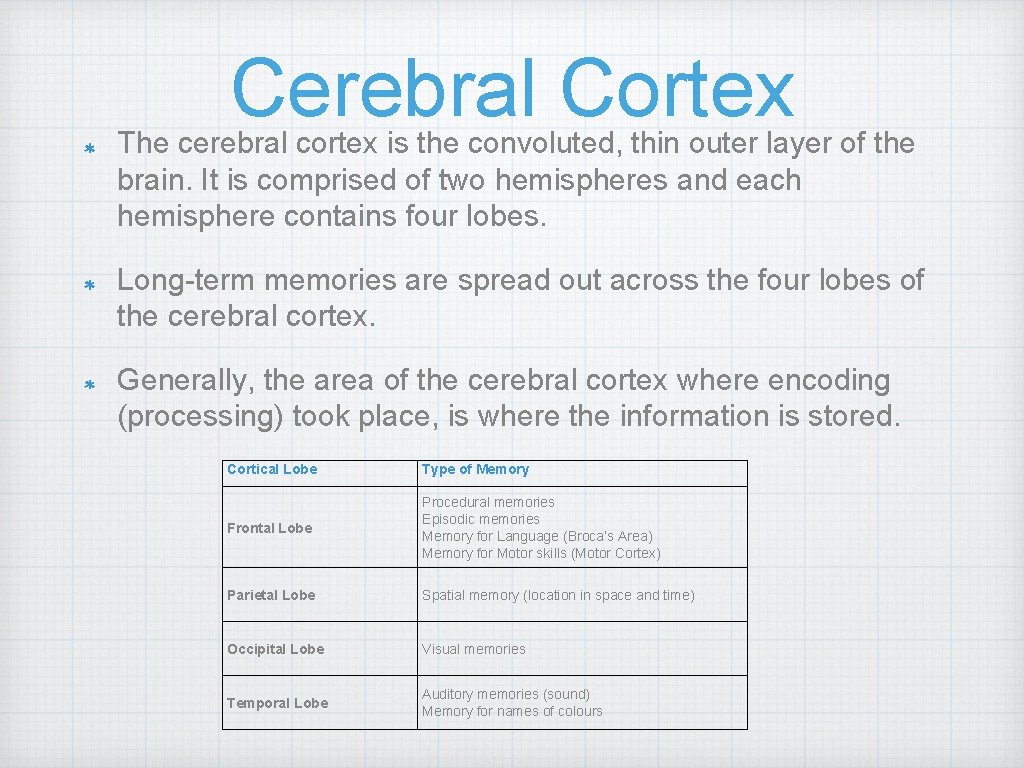 Cerebral Cortex The cerebral cortex is the convoluted, thin outer layer of the brain.