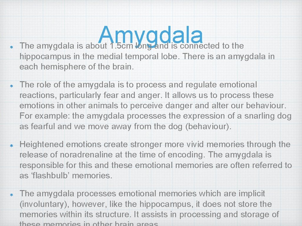 Amygdala The amygdala is about 1. 5 cm long and is connected to the