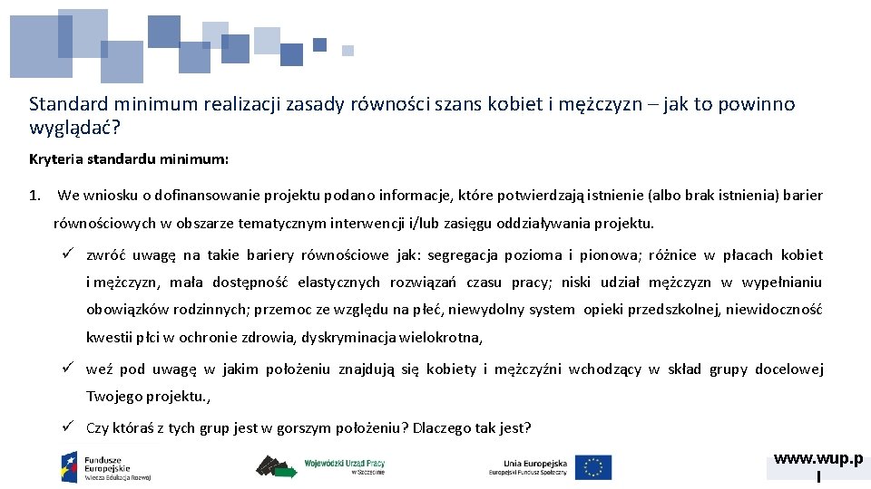 Standard minimum realizacji zasady równości szans kobiet i mężczyzn – jak to powinno wyglądać?