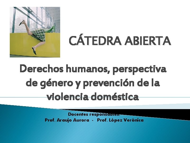 CÁTEDRA ABIERTA Derechos humanos, perspectiva de género y prevención de la violencia doméstica Docentes