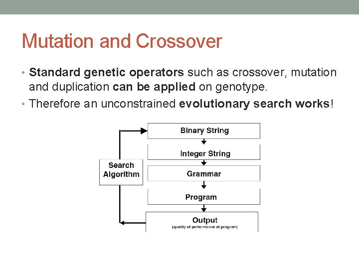 Mutation and Crossover • Standard genetic operators such as crossover, mutation and duplication can