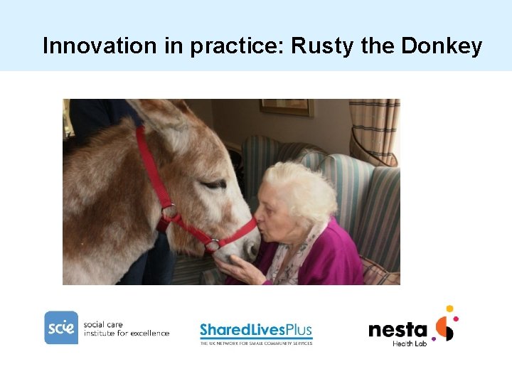Innovation in practice: Rusty the Donkey 