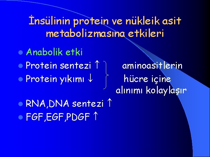 İnsülinin protein ve nükleik asit metabolizmasına etkileri l Anabolik etki l Protein sentezi l