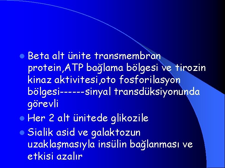 l Beta alt ünite transmembran protein, ATP bağlama bölgesi ve tirozin kinaz aktivitesi, oto