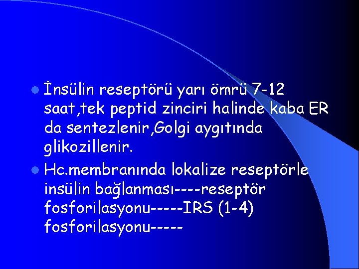 l İnsülin reseptörü yarı ömrü 7 -12 saat, tek peptid zinciri halinde kaba ER