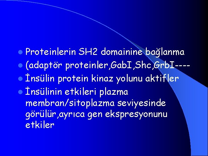 l Proteinlerin SH 2 domainine bağlanma l (adaptör proteinler, Gab. I, Shc, Grb. I---l