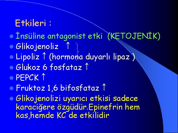 Etkileri : l İnsüline antagonist etki (KETOJENİK) l Glikojenoliz l Lipoliz (hormona duyarlı lipaz