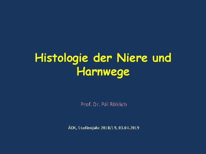 Histologie der Niere und Harnwege Prof. Dr. Pál Röhlich ÁOK, Studienjahr 2018/19, 03. 04. Histologie der Niere und Harnwege Prof. Dr. Pál Röhlich ÁOK, Studienjahr 2018/19, 03. 04.