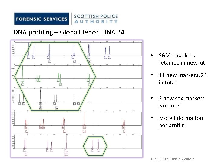 DNA profiling – Globalfiler or ‘DNA 24’ • SGM+ markers retained in new kit DNA profiling – Globalfiler or ‘DNA 24’ • SGM+ markers retained in new kit