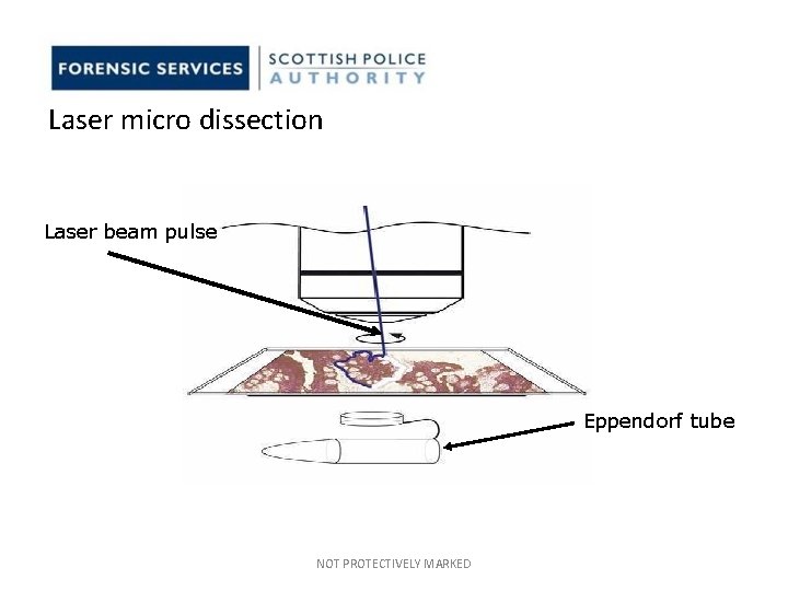 Laser micro dissection Laser beam pulse Eppendorf tube NOT PROTECTIVELY MARKED Laser micro dissection Laser beam pulse Eppendorf tube NOT PROTECTIVELY MARKED