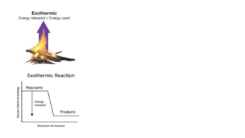 Exothermic Reactions • Exothermic reactions release more energy than it takes to break the