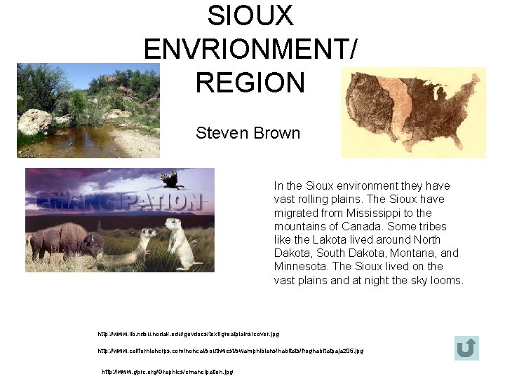 SIOUX ENVRIONMENT/ REGION Steven Brown In the Sioux environment they have vast rolling plains.