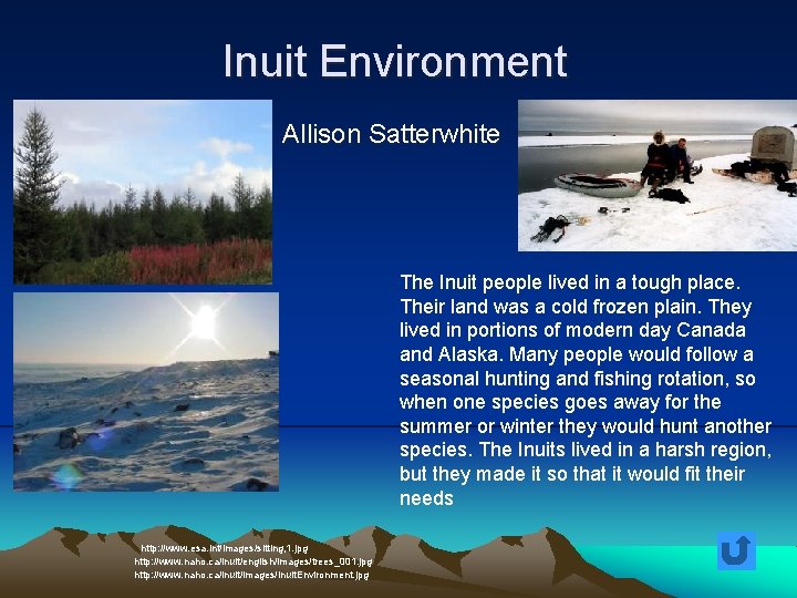 Inuit Environment Allison Satterwhite The Inuit people lived in a tough place. Their land