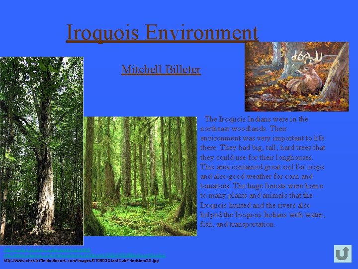 Iroquois Environment Mitchell Billeter The Iroquois Indians were in the northeast woodlands. Their environment