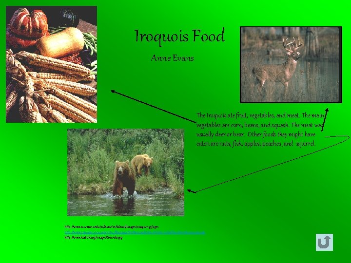 Iroquois Food Anne Evans The Iroquois ate fruit, vegetables, and meat. The main vegetables