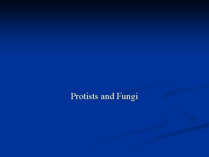 Protists and Fungi 