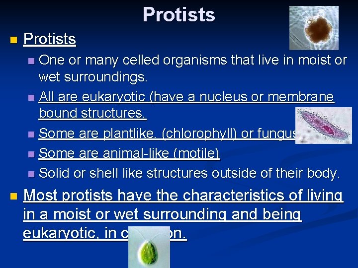 Protists n Protists One or many celled organisms that live in moist or wet