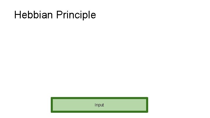 Hebbian Principle Input 