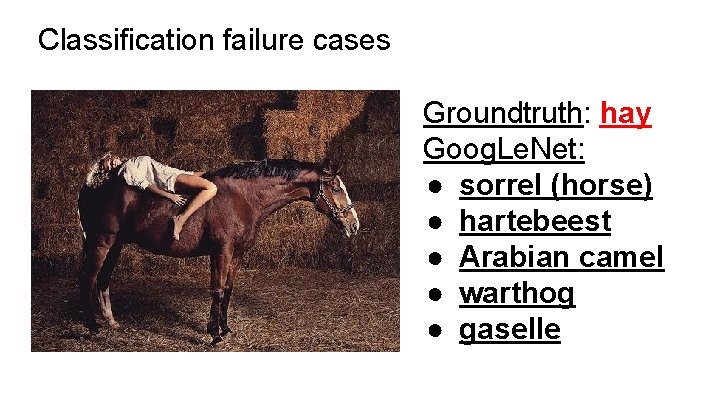 Classification failure cases Groundtruth: hay Goog. Le. Net: ● sorrel (horse) ● hartebeest ●