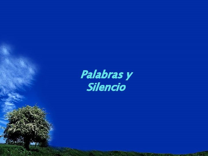 Palabras y Silencio 