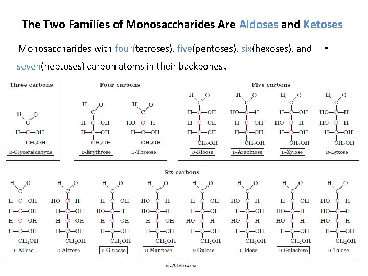 The Two Families of Monosaccharides Are Aldoses and Ketoses Monosaccharides with four(tetroses), five(pentoses), six(hexoses),