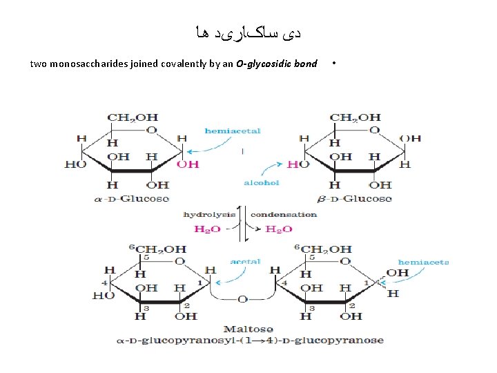  ﺩی ﺳﺎکﺎﺭیﺪ ﻫﺎ two monosaccharides joined covalently by an O-glycosidic bond • 