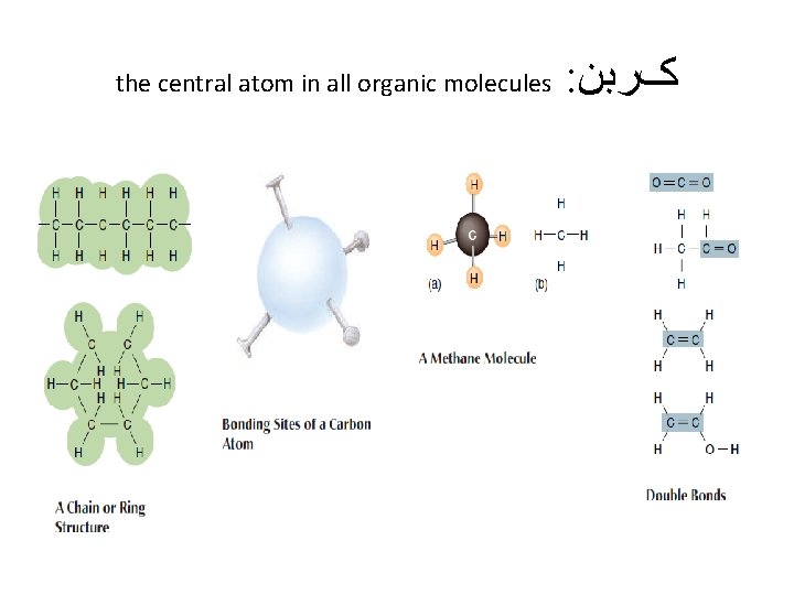 the central atom in all organic molecules : کﺮﺑﻦ 