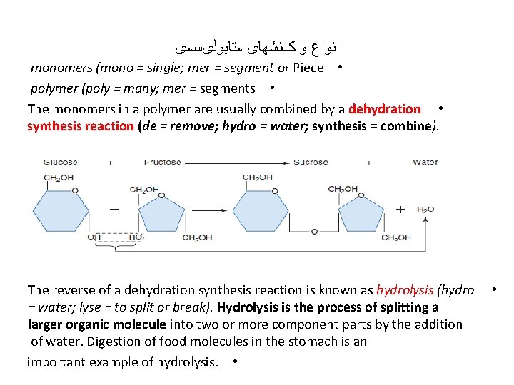  ﺍﻧﻮﺍﻉ ﻭﺍکﻨﺸﻬﺎی ﻣﺘﺎﺑﻮﻟیﺴﻤی monomers (mono = single; mer = segment or Piece •