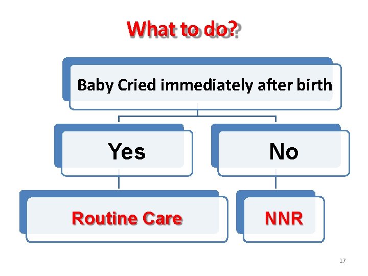 What to do? Baby Cried immediately after birth Yes No Routine Care NNR 17 What to do? Baby Cried immediately after birth Yes No Routine Care NNR 17
