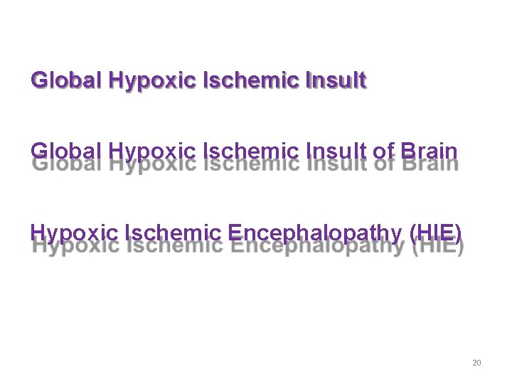 Global Hypoxic Ischemic Insult of Brain Hypoxic Ischemic Encephalopathy (HIE) 20 Global Hypoxic Ischemic Insult of Brain Hypoxic Ischemic Encephalopathy (HIE) 20