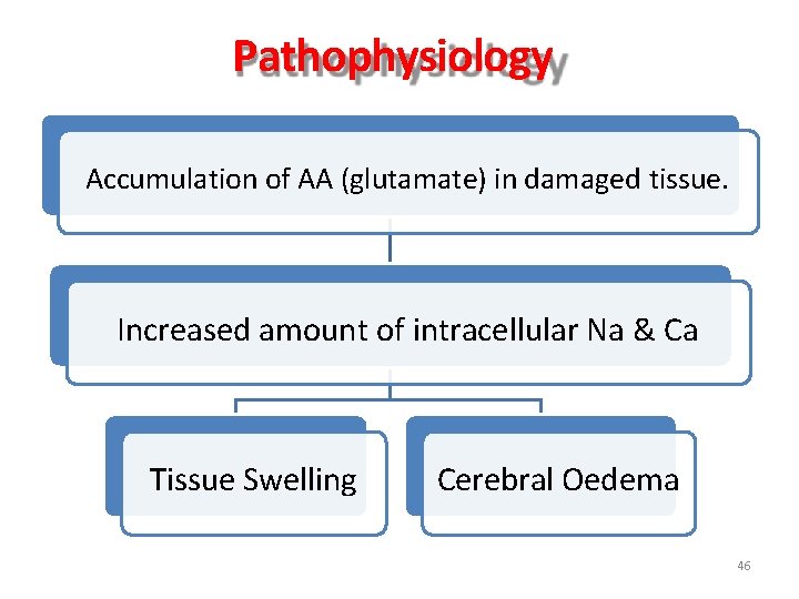 Pathophysiology Accumulation of AA (glutamate) in damaged tissue. Increased amount of intracellular Na & Pathophysiology Accumulation of AA (glutamate) in damaged tissue. Increased amount of intracellular Na &