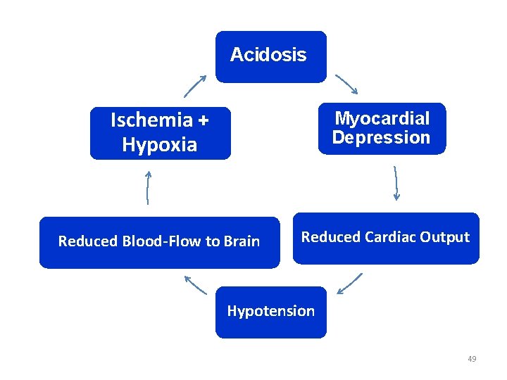 Acidosis Ischemia + Hypoxia Myocardial Depression Reduced Blood-Flow to Brain Reduced Cardiac Output Hypotension Acidosis Ischemia + Hypoxia Myocardial Depression Reduced Blood-Flow to Brain Reduced Cardiac Output Hypotension